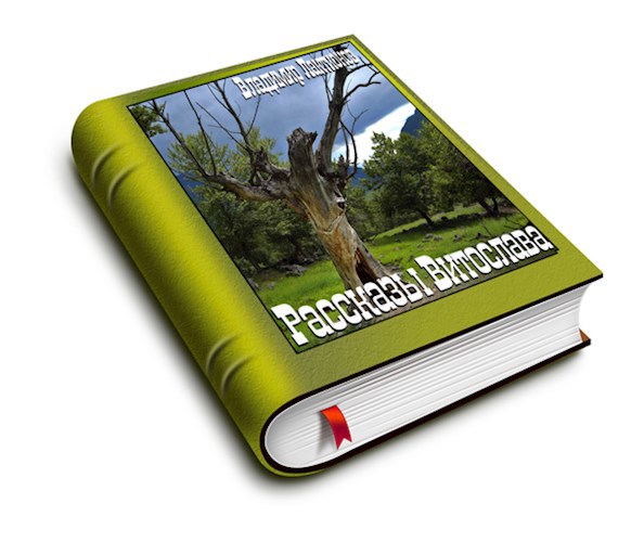 Обложка книги Рассказы Витослава