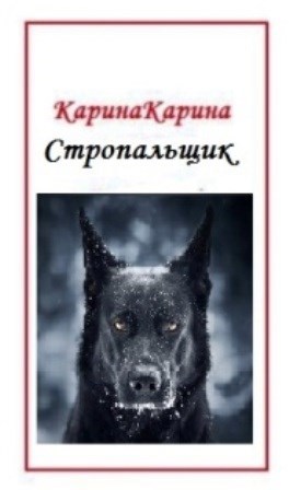 Обложка книги Стропальщик