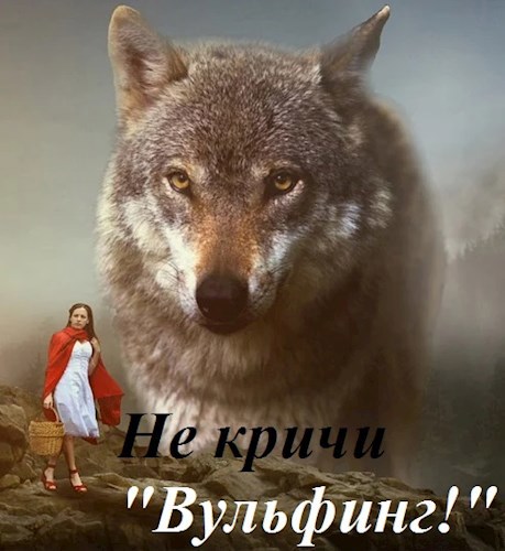 Обложка книги Не кричи: “Вульфинг!”