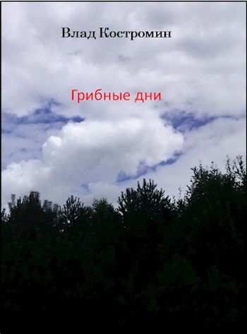 Обложка книги Грибные дни
