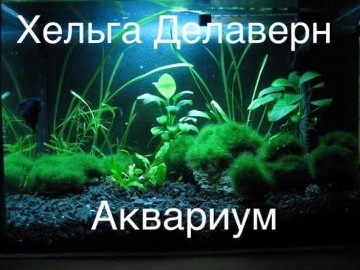Обложка книги Аквариум