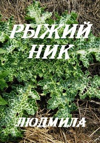 Обложка книги Рыжий Ник