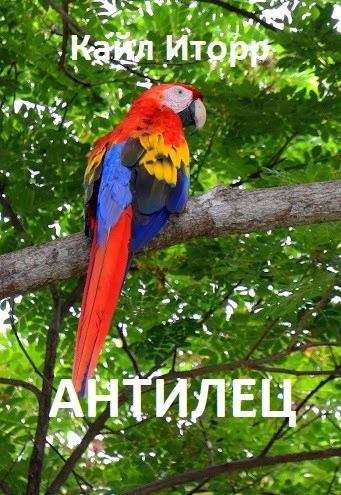 Обложка книги Антилец