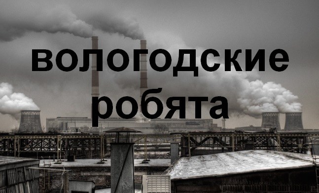 Обложка книги Вологодские робята