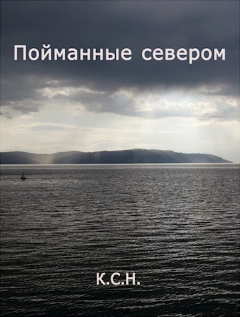 Обложка книги Крылья Ориенты. Том 3. Пойманные севером