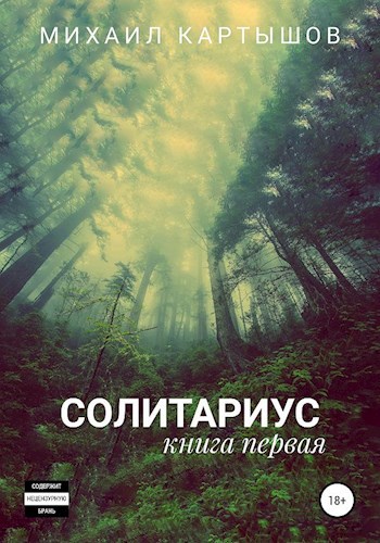 Обложка книги Солитариус. Книга первая