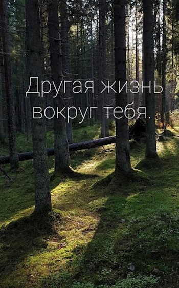 Обложка книги Другая жизнь вокруг тебя