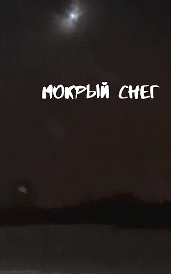 Обложка книги Мокрый снег