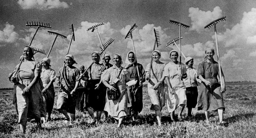 Обложка книги Звезда пленительного счастья