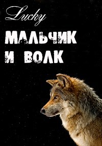 Обложка книги МАЛЬЧИК И ВОЛК