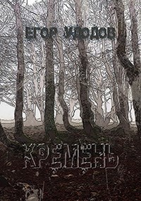 Обложка книги Кремень