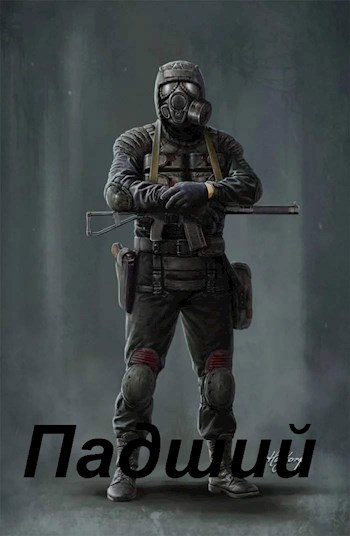 Обложка книги Падший