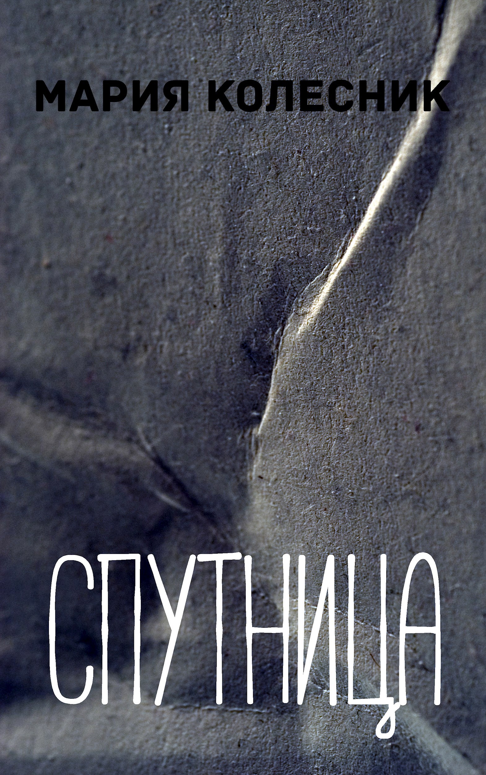 Обложка книги Спутница
