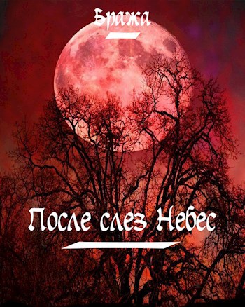 Обложка книги После слез Небес
