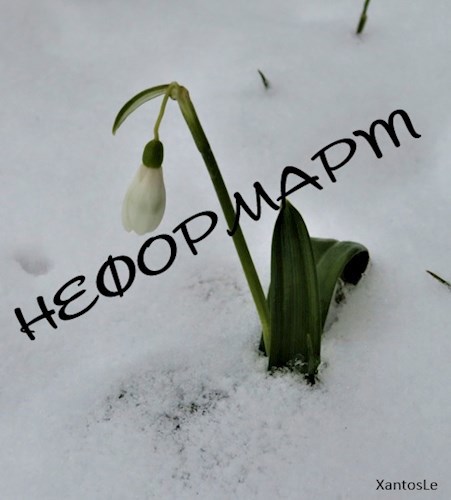 Обложка книги Неформарт