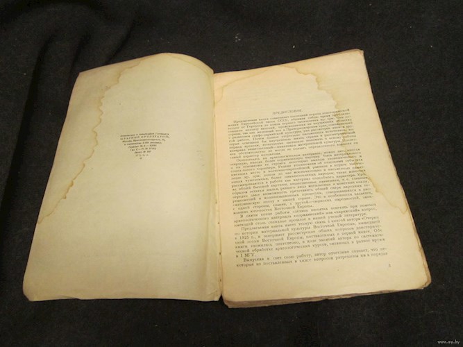Обложка книги Железный Век