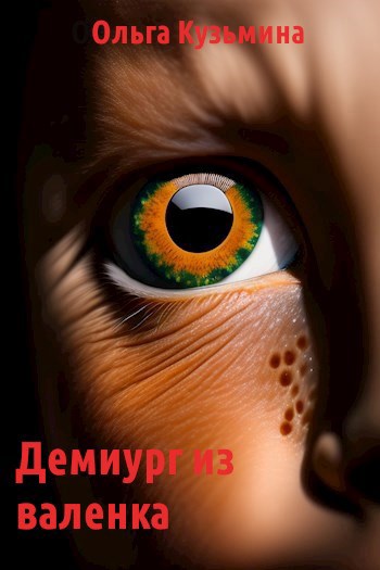 Обложка книги Демиург из валенка
