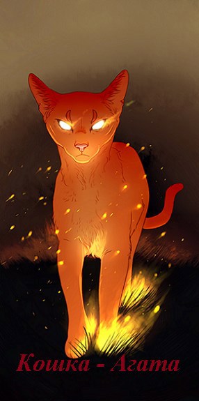 Обложка книги Кошка - Агата