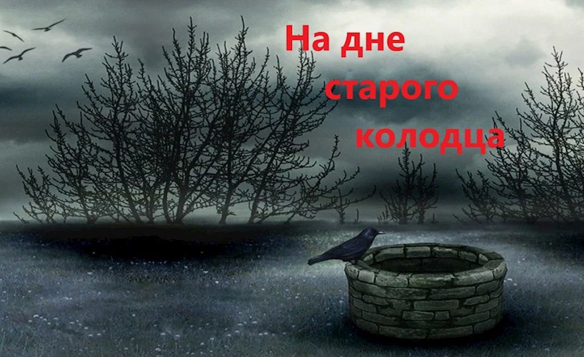 Обложка книги На дне старого колодца.