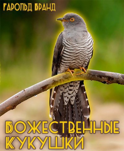 Обложка книги Божественные кукушки