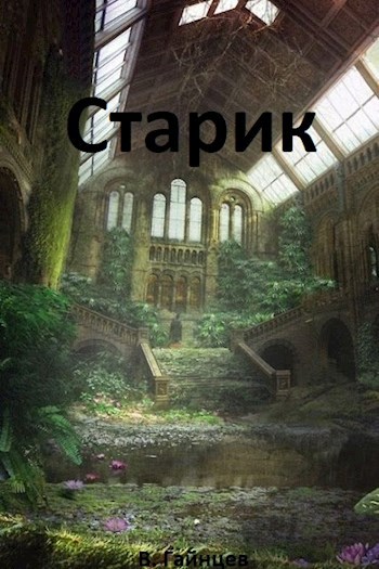 Обложка книги Старик