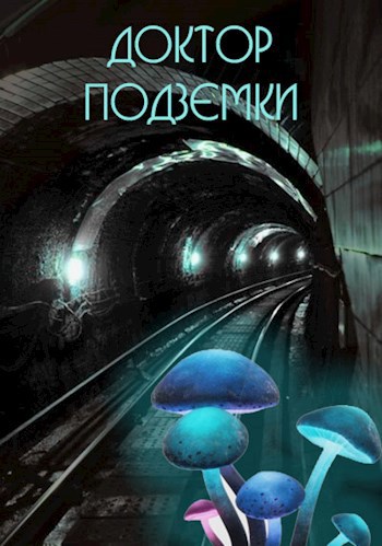 Обложка книги Доктор подземки