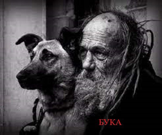 Обложка книги Бука