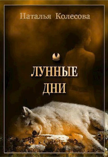 Обложка книги Лунные дни
