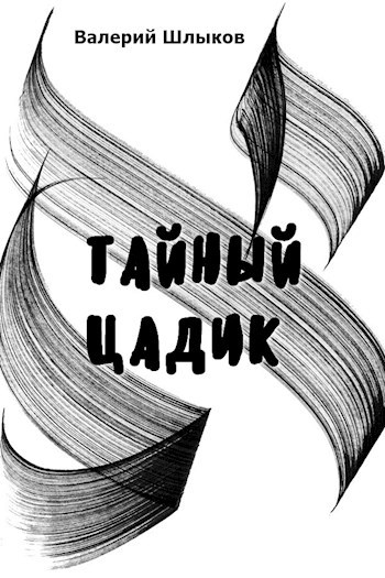 Обложка книги Тайный цадик
