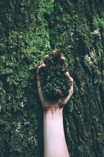 Обложка книги Ахтохаллэн