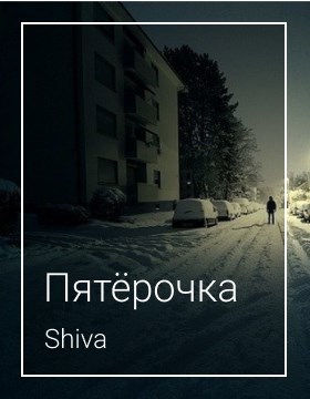 Обложка книги Пятёрочка