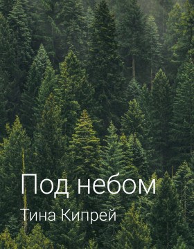 Обложка книги Под небом