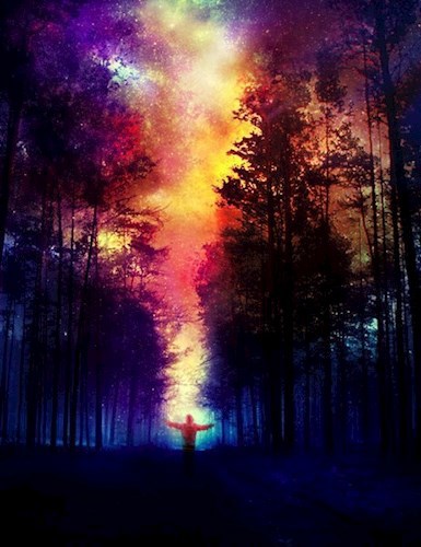 Обложка книги То что не подвластно глазам людским.
