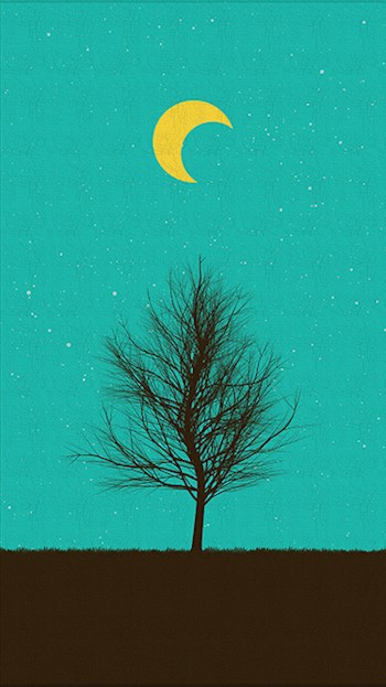 Обложка книги Мюсли