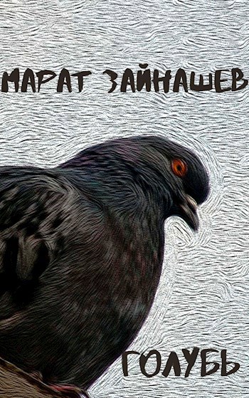 Обложка книги Голубь