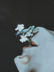 Обложка книги Чрево