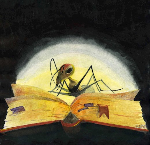 Обложка книги Муравей "Д"