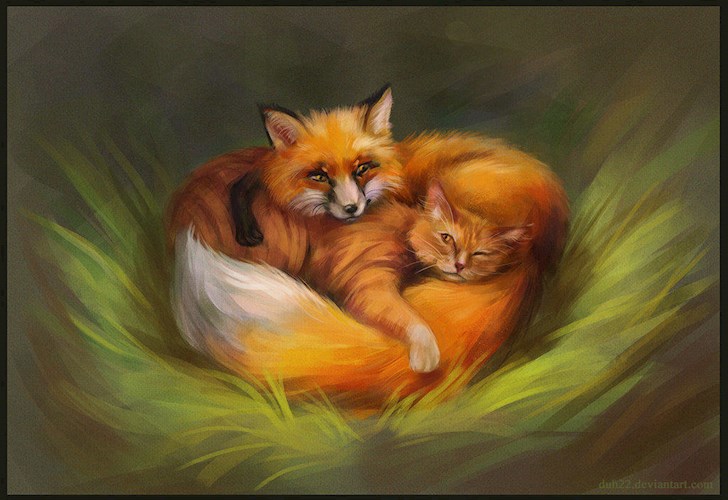 Обложка книги Кот и Лиса