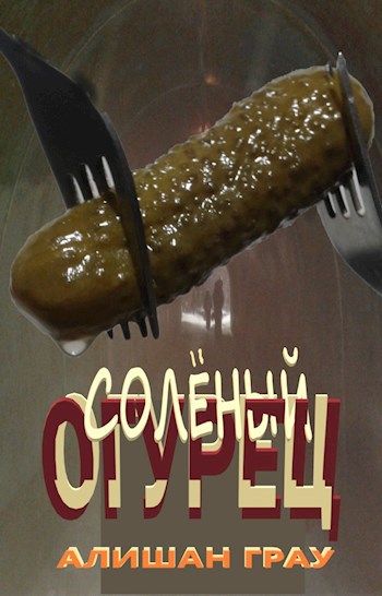 Обложка книги Солёный огурец