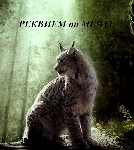 Обложка книги РЕКВИЕМ по МЕЧТЕ
