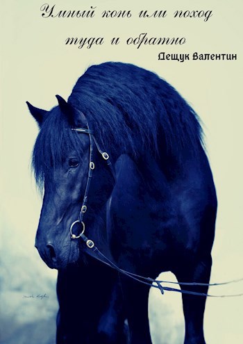 Обложка книги Умный конь или поход туда и обратно