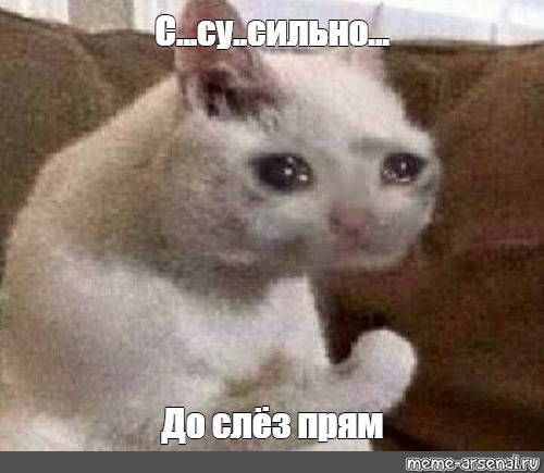 Обложка книги Без хвоста