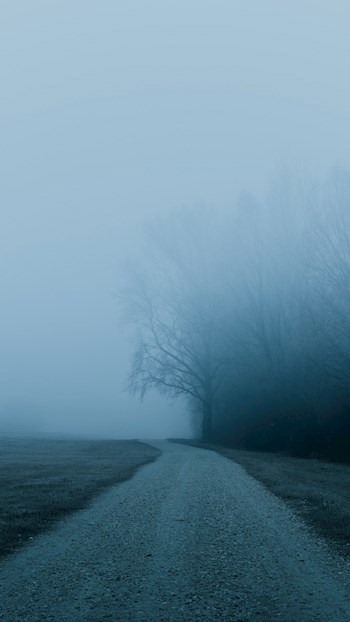 Обложка книги Туман