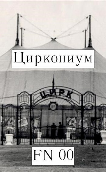 Обложка книги Циркониум