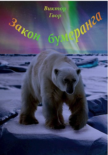 Обложка книги ЗАКОН БУМЕРАНГА