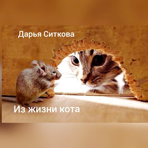 Обложка книги Из жизни одного кота