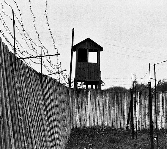 Обложка книги Горькое лето двадцатого века