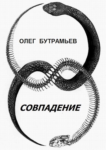 Обложка книги Совпадение