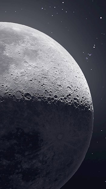 Обложка книги Безжизненный модуль
