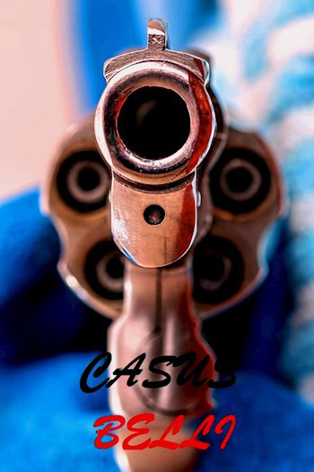 Обложка книги Casus Belli